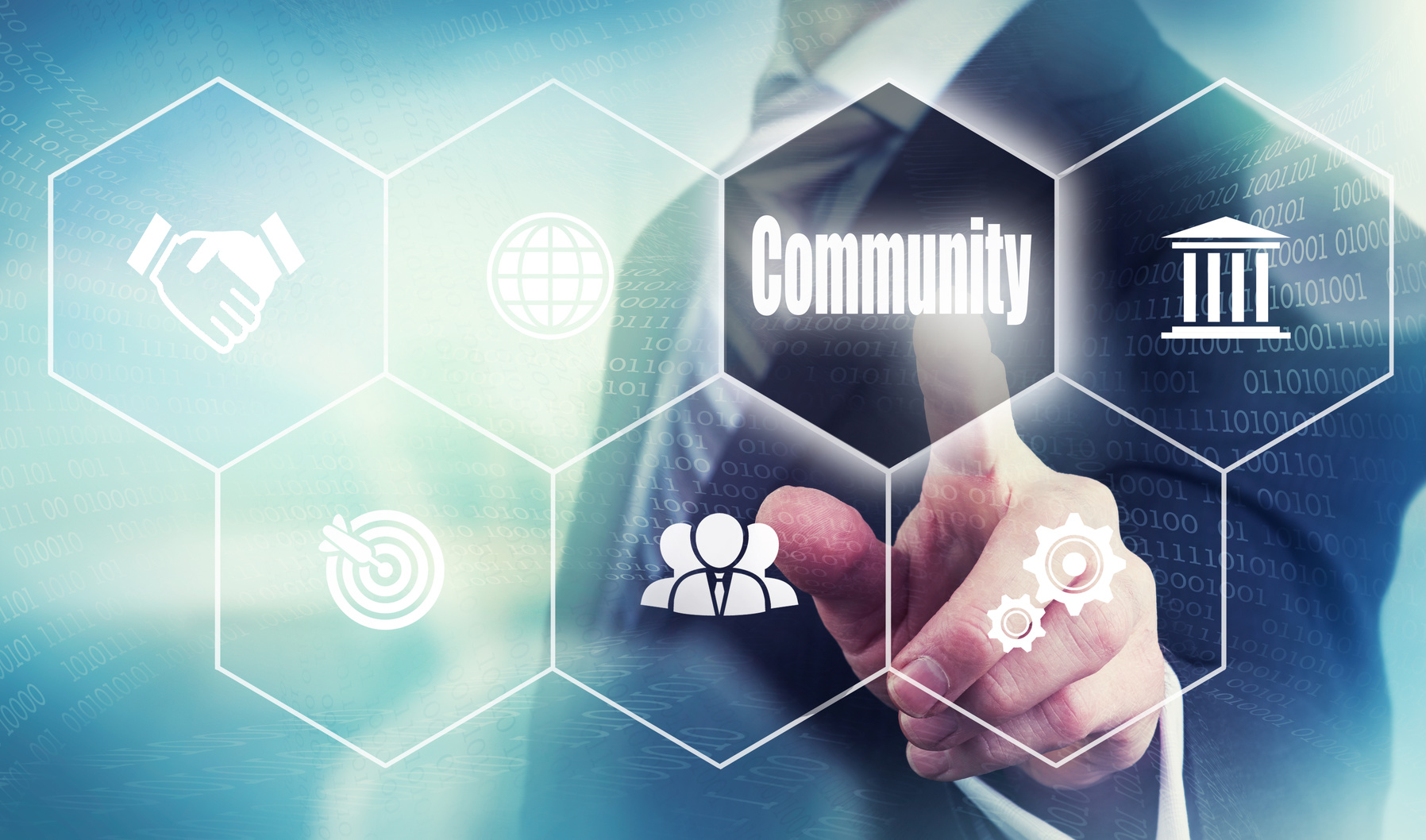 Image module